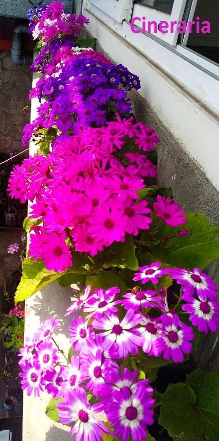 West Point Backpackers Hostel Darjeeling  Extérieur photo